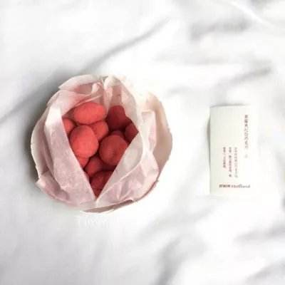宠物与炼金官方版下载